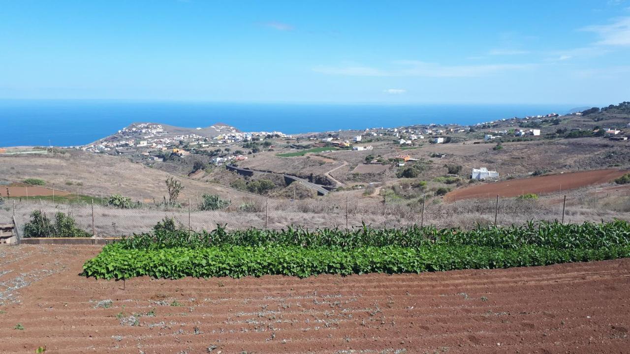 Casa Cueva Villa Aday Santa Maria de Guia de Gran Canaria Kültér fotó